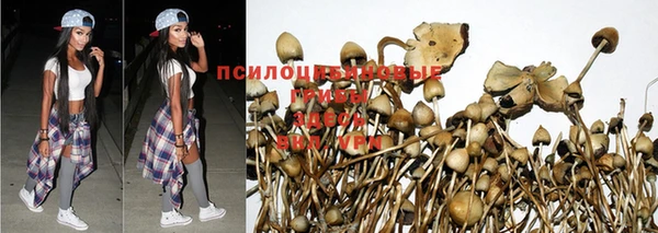 альфа пвп Медногорск